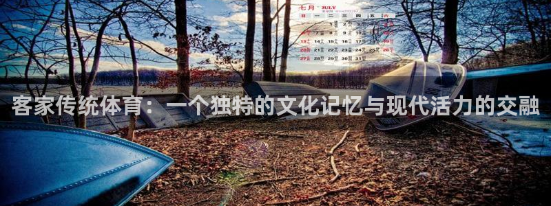 熊猫体育网址