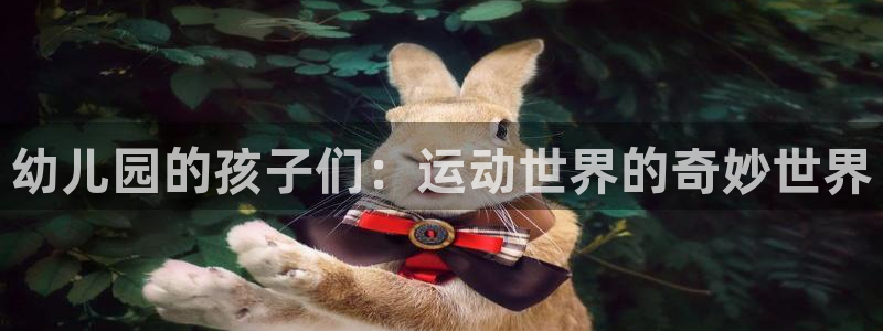 熊猫体育公园价格