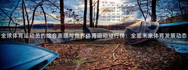 熊猫体育平台