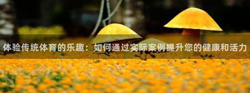 熊猫体育手机版下载