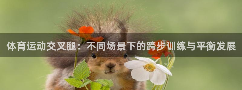 熊猫体育网址