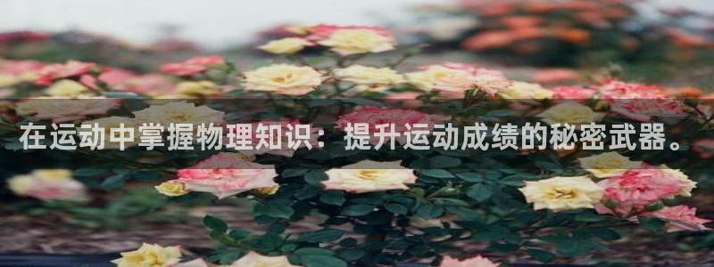 熊猫体育公园价格