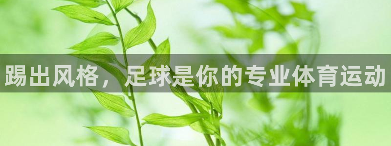 熊猫体育app官方下载最新版
