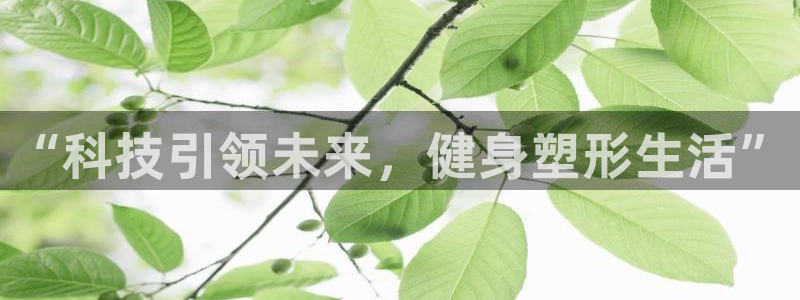 熊猫体育手机版下载