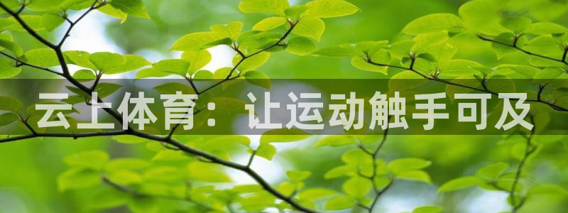 熊猫体育app官方下载最新版