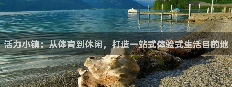 动感熊猫体育公园