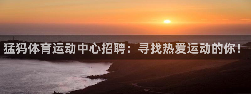 熊猫体育公园