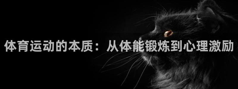 熊猫体育公园