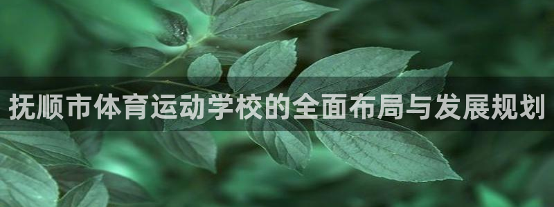 成都熊猫体育公园