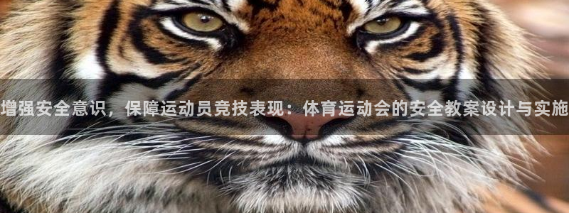 熊猫体育app官网入口