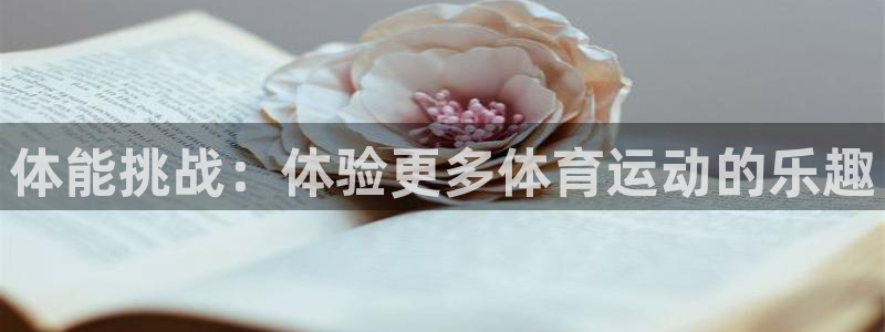 熊猫体育网站